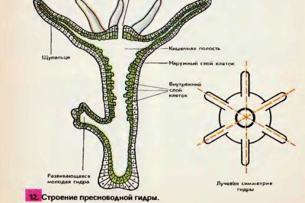 Vk8 at кракен