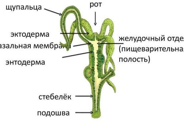 Кракен сайт krknwebs